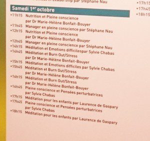 mindfulness-sylvie-chabas-salon-zen-2016-6