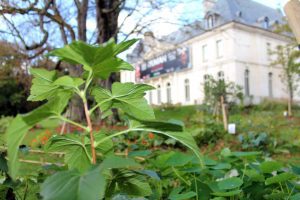 Méditation-dimanche-boulogne billancourt