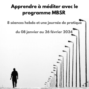 Apprendre à méditer avec le programme MBSR. Programme de réduction du stress par la pleine conscience